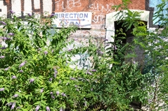 Cliquez sur la vignette pour l'agrandir